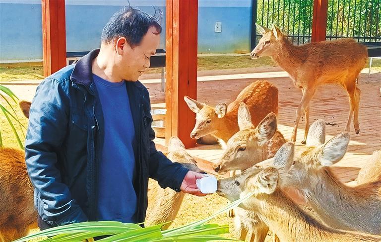 展产业调研】林下生金不朽情缘【高质量发