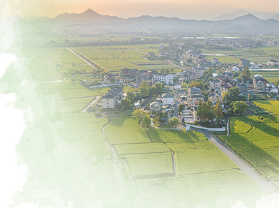 农村集体经济（人民眼·乡村全面振兴）不朽情缘平台登录入口经理人如何盘活(图2)