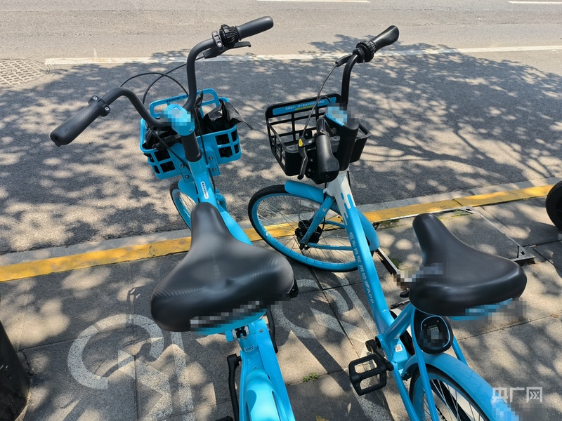 有情趣用品律师称涉案人员或将面临行政拘留MG不朽情缘上海警方通报共享单车坐垫内